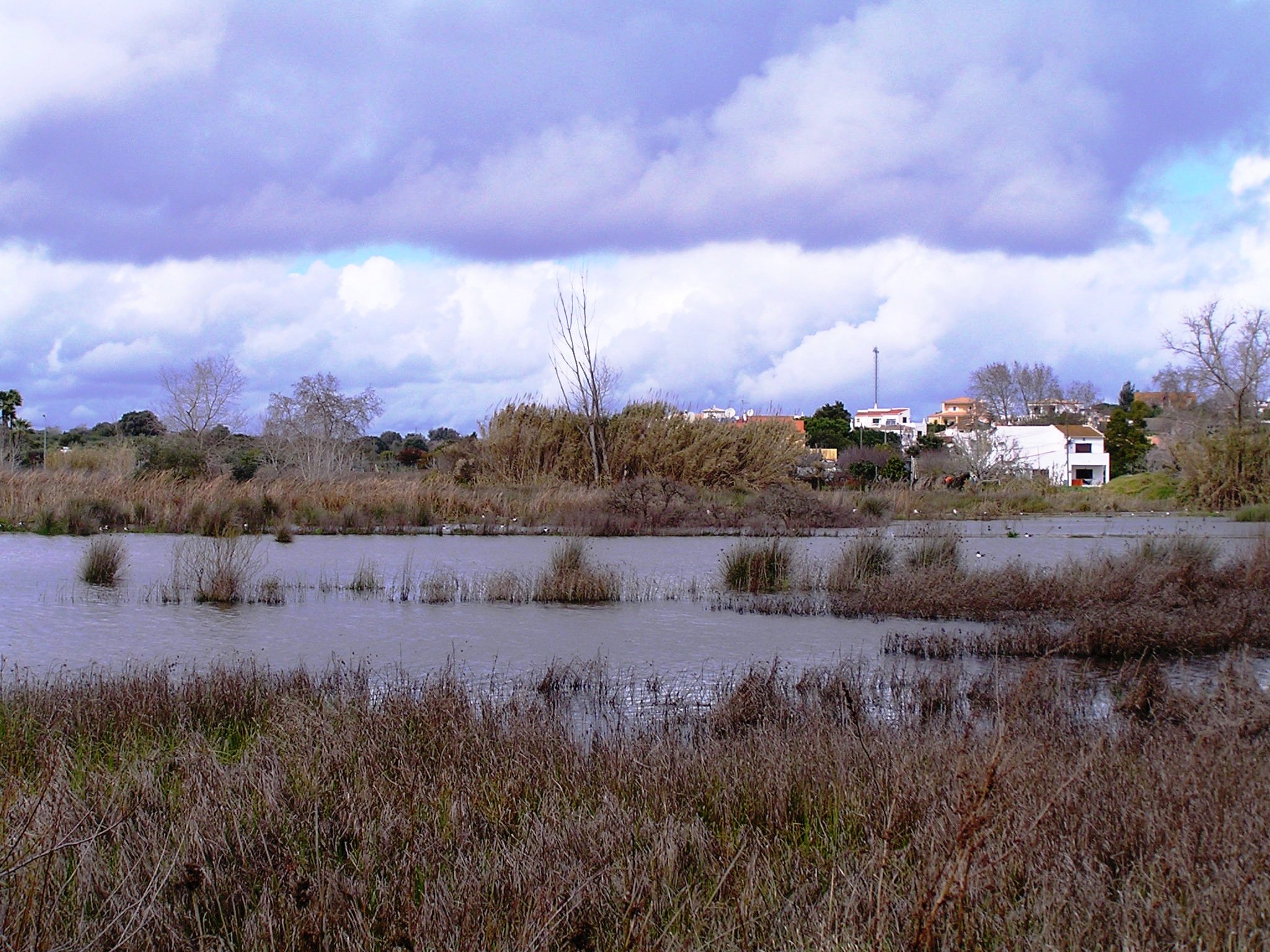 AlagoasFoto