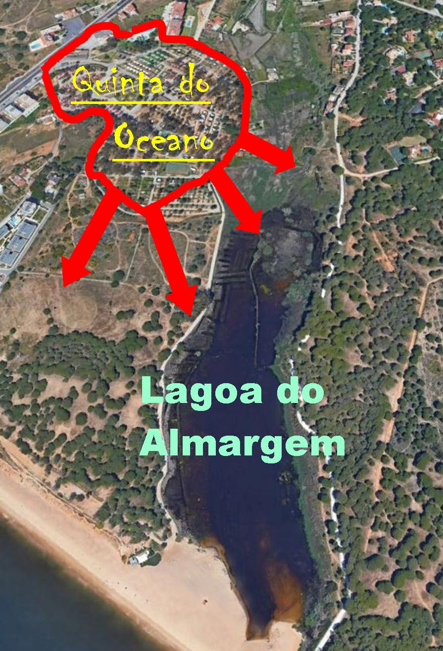 FozAlm