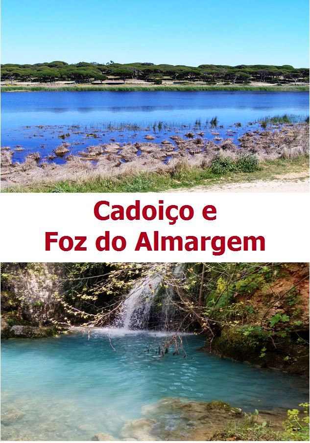 LivroCadAlmCapa