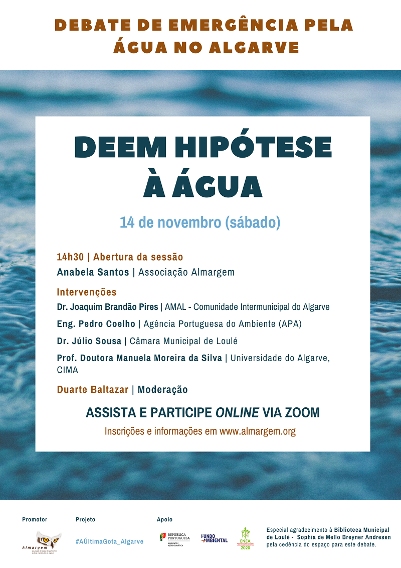 debate HipoteseAgua 14NOV20 final