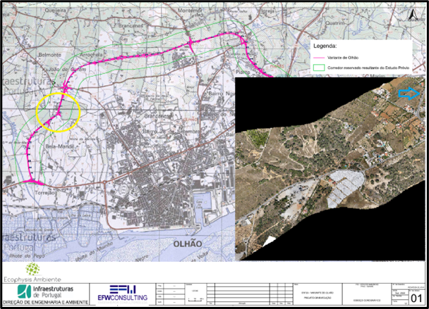 Localizacao-da-area-afetada
